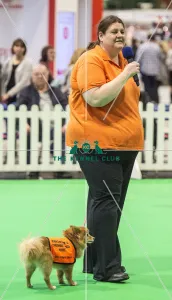 <b class=qtipBold><figcaption>Crufts 2018</figcaption></b><br>Picture shows GCDS Ring - Manchester Dogs Home , (Friday 09.03.18), the second day of Crufts 2018, at the NEC Birmingham.<br><em>© Flick.digital</em> Crufts 2018