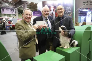 Crufts 2019 - Day One, NEC, UK - 7 Mar 2019 Crufts 2019 - Day One, NEC, UK - 7 Mar 2019