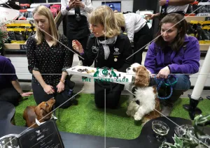 Crufts 2019 - Day One, NEC, UK - 7 Mar 2019 Crufts 2019 - Day One, NEC, UK - 7 Mar 2019