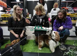 Crufts 2019 - Day One, NEC, UK - 7 Mar 2019 Crufts 2019 - Day One, NEC, UK - 7 Mar 2019