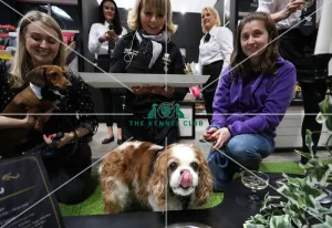 Crufts 2019 - Day One, NEC, UK - 7 Mar 2019 Crufts 2019 - Day One, NEC, UK - 7 Mar 2019