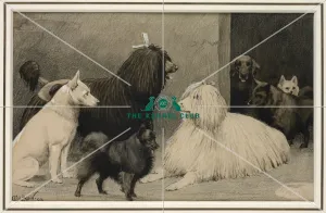 <b class=qtipBold><figcaption>Crufts, Agricultural Hall, 1893</figcaption></b><br>Signed and dated 1893 Pencil, pen and black ink and grey wash heighted with white, 6.25 x 9.75 ins<br><em>© The Kennel Club Arts Foundation</em> Crufts, Agricultural Hall, 1893