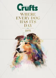 Crufts poster 2020 artwork featuring Collie Crufts poster 2020 artwork featuring Collie