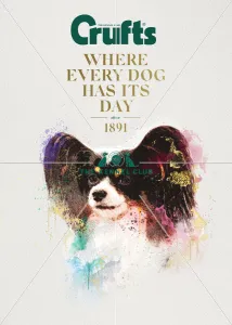 Crufts poster 2020 artwork featuring Papillon Crufts poster 2020 artwork featuring Papillon