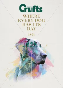 Crufts poster 2020 artwork featuring Weimaraner Crufts poster 2020 artwork featuring Weimaraner