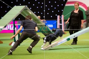 <b class=qtipBold><figcaption>Crufts Singles Final</figcaption></b><br><em>© Yulia Titovets / The Kennel Club</em> Crufts Singles Final