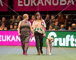 <b class=qtipBold><figcaption>Friends for Life</figcaption></b><br><em>© Yulia Titovets / The Kennel Club</em> Friends for Life