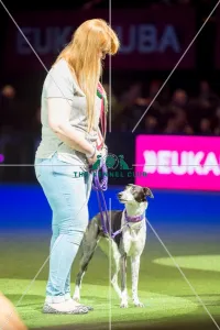 <b class=qtipBold><figcaption>Friends for Life - winner</figcaption></b><br><em>© Yulia Titovets / The Kennel Club</em> Friends for Life - winner