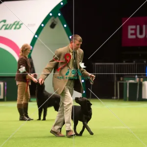 <b class=qtipBold><figcaption>Gamekeepers Competition 2nd</figcaption></b><br><em>© Yulia Titovets / The Kennel Club</em> Gamekeepers Competition 2nd