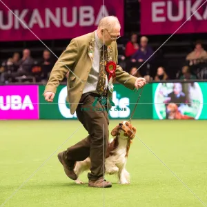 <b class=qtipBold><figcaption>Gamekeepers Competition - winner</figcaption></b><br><em>© Yulia Titovets / The Kennel Club</em> Gamekeepers Competition - winner