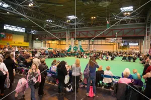 <b class=qtipBold><figcaption>General overview</figcaption></b><br><em>© The Kennel Club</em> General overview