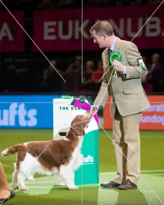 <b class=qtipBold><figcaption>Gundog Group 3</figcaption></b> Gundog Group 3