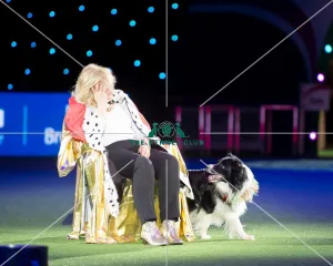 <b class=qtipBold><figcaption>Heelwork to Music display</figcaption></b><br><em>© Yulia Titovets / The Kennel Club</em> Heelwork to Music display