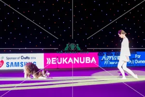 <b class=qtipBold><figcaption>Heelwork to Music - winner</figcaption></b><br><em>© Yulia Titovets / The Kennel Club</em> Heelwork to Music - winner