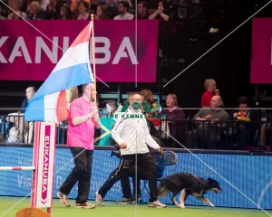 <b class=qtipBold><figcaption>International Invitation Agility</figcaption></b><br><em>© Yulia Titovets / The Kennel Club ©</em> International Invitation Agility