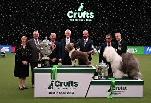 Official photos from Crufts 2023: Javier Gonzalez Menicote from Croatia with Orca, a Lagotto Romagnolo