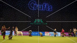 <b class=qtipBold><figcaption>judging of Utility Group</figcaption></b><br>The Kennel Club Crufts 2015<br><em>© Yulia Titovets / The Kennel Club</em> judging of Utility Group