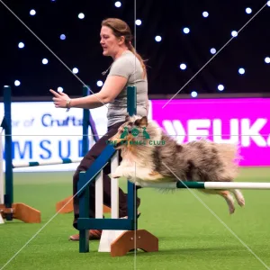 <b class=qtipBold><figcaption>KC British Open</figcaption></b><br><em>© Yulia Titovets / The Kennel Club</em> KC British Open