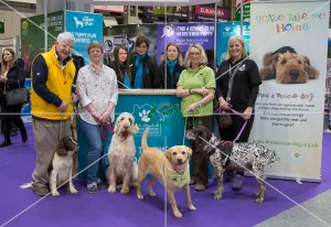 Kennel Club Breed Rescue Stand: Gundog Day Kennel Club Breed Rescue Stand: Gundog Day