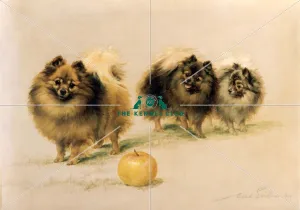 <b class=qtipBold><figcaption>Lady Wavertree's Pomeranians</figcaption></b><br>Signed and dated 1904 Oil on canvas 18 x 24 ins The painting here shows the Pomeranians Ch Dainty Boy, Ch Gateacre Bilbury Belle and Ch Gateacre Dainty Belle. Dainty Belle was the daughter of Dainty Boy and Bilbury Belle. They were owned by Lady Wavertree (also known as Mrs Hall-Walker). She was one of the early admirers of the unfashionable shaded sable colour and Dainty Boy was only the second British Champion of that colour. Lady Wavertree's Pomeranians