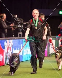 <b class=qtipBold><figcaption>Large teams agility final - winner</figcaption></b><br><em>© Yulia Titovets / The Kennel Club</em> Large teams agility final - winner