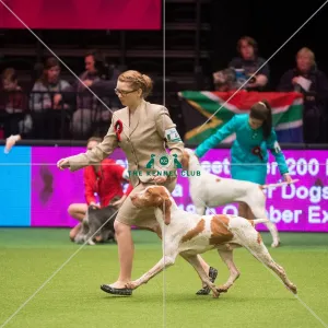 <b class=qtipBold><figcaption>Lauren Hull</figcaption></b> Lauren Hull