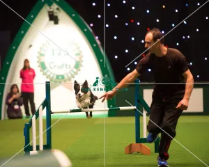 <b class=qtipBold><figcaption>Lee Windeatt KC Novice Cup Final</figcaption></b><br>Lee Windeatt KC Novice Cup Final<br><em>© Yulia Titovets / The Kennel Club</em> Lee Windeatt KC Novice Cup Final