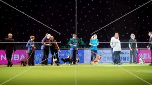 <b class=qtipBold><figcaption>line up KC Novice Cup</figcaption></b><br><em>© Yulia Titovets / The Kennel Club</em> line up KC Novice Cup