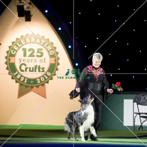 <b class=qtipBold><figcaption>Mary Ray Heelwork to Music demo</figcaption></b><br><em>© Yulia Titovets / The Kennel Club</em> Mary Ray Heelwork to Music demo
