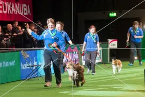 <b class=qtipBold><figcaption>Medium teams winner</figcaption></b> Medium teams winner