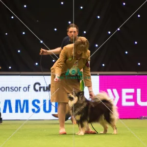 <b class=qtipBold><figcaption>Pastoral Group</figcaption></b><br><em>© Yulia Titovets / The Kennel Club</em> Pastoral Group