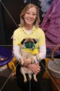 <b class=qtipBold><figcaption>PAT</figcaption></b><br><em>© The Kennel Club ©</em> PAT