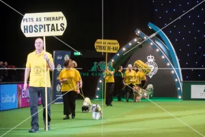 <b class=qtipBold><figcaption>PAT dog of the year</figcaption></b> PAT dog of the year