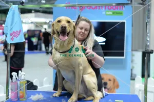 <b class=qtipBold><figcaption>pets at home groom room stand</figcaption></b><br><em>© Georgia Drury / The Kennel Club</em> pets at home groom room stand