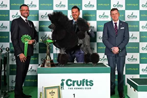 Official photos from Crufts 2023: Philip Langdon from Bristol with Jake, a Philip Langdon, who won the coveted title of Best in Show today