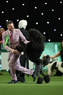 Official photos from Crufts 2023: Philip Langdon with their Poodle, called Jake, in the 150th Anniversary Class today