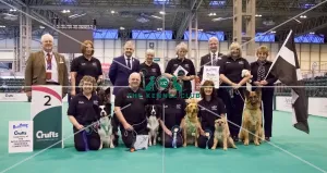 <b class=qtipBold><figcaption>Photocall obedience</figcaption></b><br>Photocall obedience Inter regional teams<br><em>© Roger Sjolstad / The Kennel Club</em> Photocall obedience