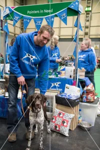 <b class=qtipBold><figcaption>Pointers in Need</figcaption></b><br>Pointers in Need breed rescue<br><em>© Heidi Hudson / The Kennel Club</em> Pointers in Need