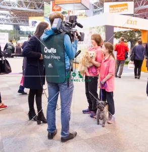 <b class=qtipBold><figcaption>Behind scene</figcaption></b><br>Behind scene TV team<br><em>© Roger Sjolstad / The Kennel Club</em> Behind scene