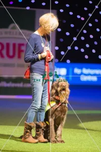 <b class=qtipBold><figcaption>Scruffts Final</figcaption></b><br><em>© Yulia Titovets / The Kennel Club</em> Scruffts Final