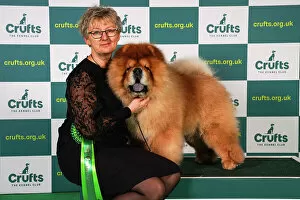 Official photos from Crufts 2023: Suzanne Lunau from Denmark, with Kashmere, a Chow Chow, which was the Best of Breed winner today