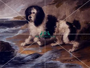 <b class=qtipBold><figcaption>Ta Ageur</figcaption></b><br>Hand coloured engraving 20 x 24 ins. Engraved by Robt. Mitchell 1852 and published by W.Schaws, New York, 1852 Landseer's original painting was completed in 1821 when he was 19 years old and the Poodle is a harlequin who belonged to Lady Williams.<br><em>© The Kennel Club</em> Ta Ageur