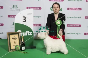 Terrier Group Winner 3rd place Terrier Group Winner 3rd place