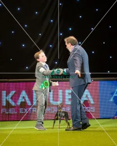 <b class=qtipBold><figcaption>Toy group winner</figcaption></b><br><em>© Yulia Titovets / The Kennel Club</em> Toy group winner