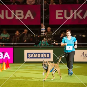 <b class=qtipBold><figcaption>Trailrunners</figcaption></b><br><em>© Yulia Titovets / The Kennel Club</em> Trailrunners