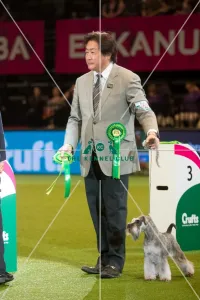 <b class=qtipBold><figcaption>Utility Group 2</figcaption></b><br><em>© Yulia Titovets / The Kennel Club</em> Utility Group 2