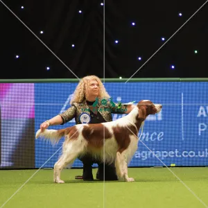 <b class=qtipBold><figcaption>Vulnerable Breeds</figcaption></b><br><em>© Yulia Titovets </em> Vulnerable Breeds