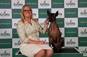 Official photos from Crufts 2023: Whitney Meeks from Indiana, USA, with Itzia, a Xoloitzcuintle (Mexican Hairless) (Standard)