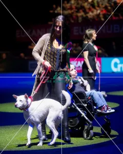 <b class=qtipBold><figcaption>winner</figcaption></b><br><em>© Yulia Titovets / The Kennel Club</em> winner