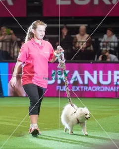 <b class=qtipBold><figcaption>Winner Abbicher Dreaming</figcaption></b><br><em>© Yulia Titovets / The Kennel Club</em> Winner Abbicher Dreaming